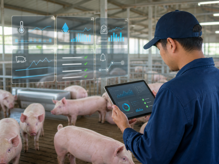 Remote pig health support and herd monitoring consultation