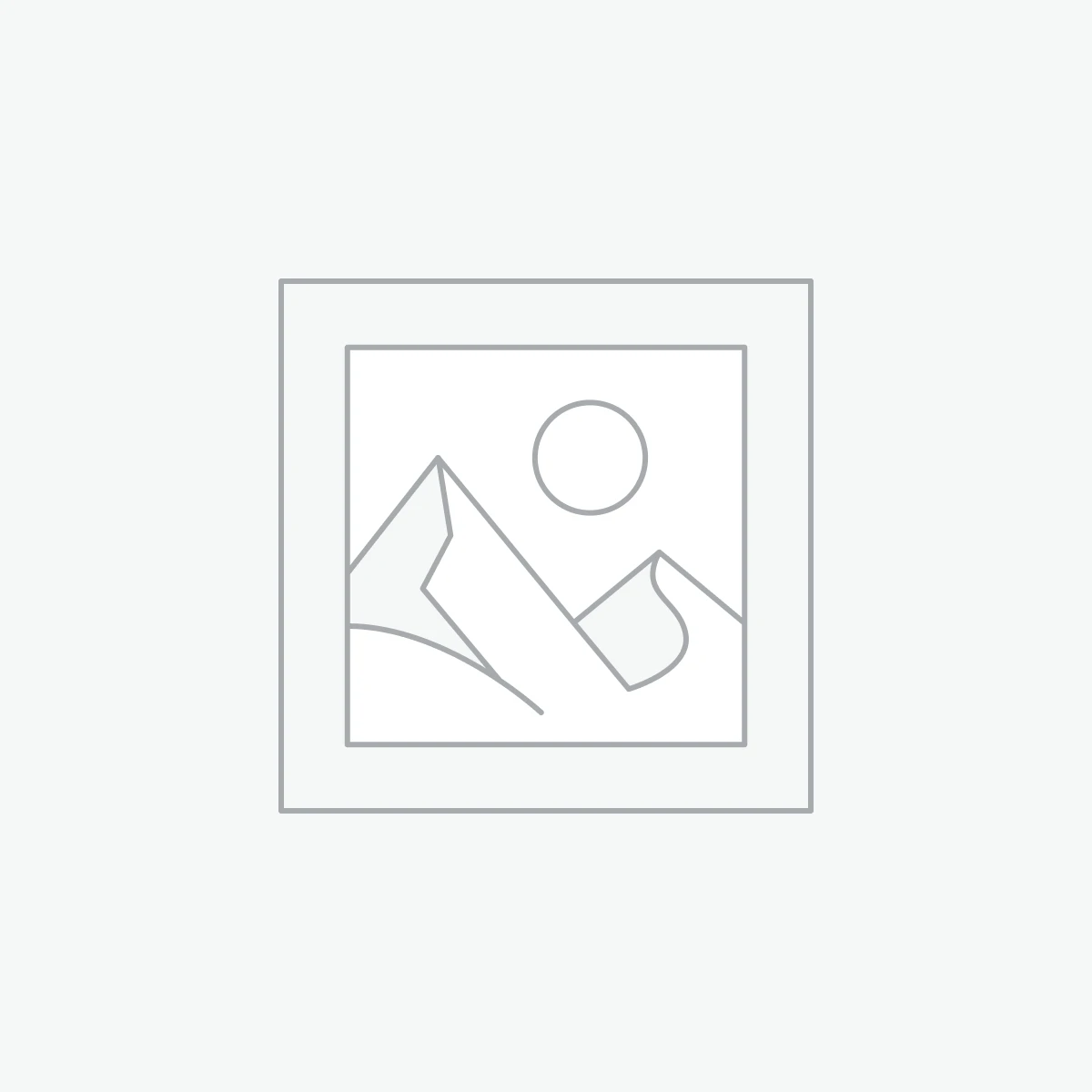 Google Home Smart Voice Activated Speaker
